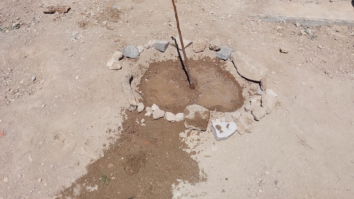 OKULUMUZUN BAHÇESİNİ  AĞAÇLANDIRDIK .